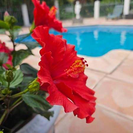 Les Jardins Du Patriarche Hotel Agde Zewnętrze zdjęcie