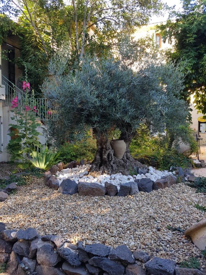 Les Jardins Du Patriarche Hotel Agde Zewnętrze zdjęcie