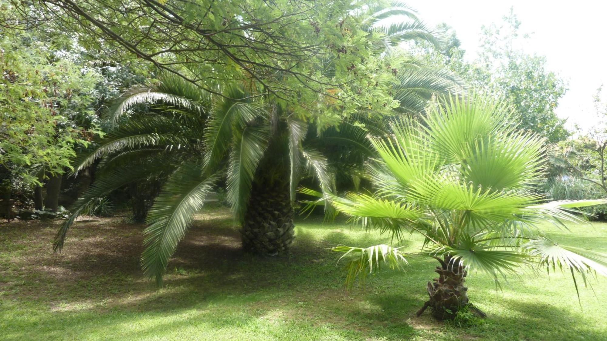 Les Jardins Du Patriarche Hotel Agde Zewnętrze zdjęcie