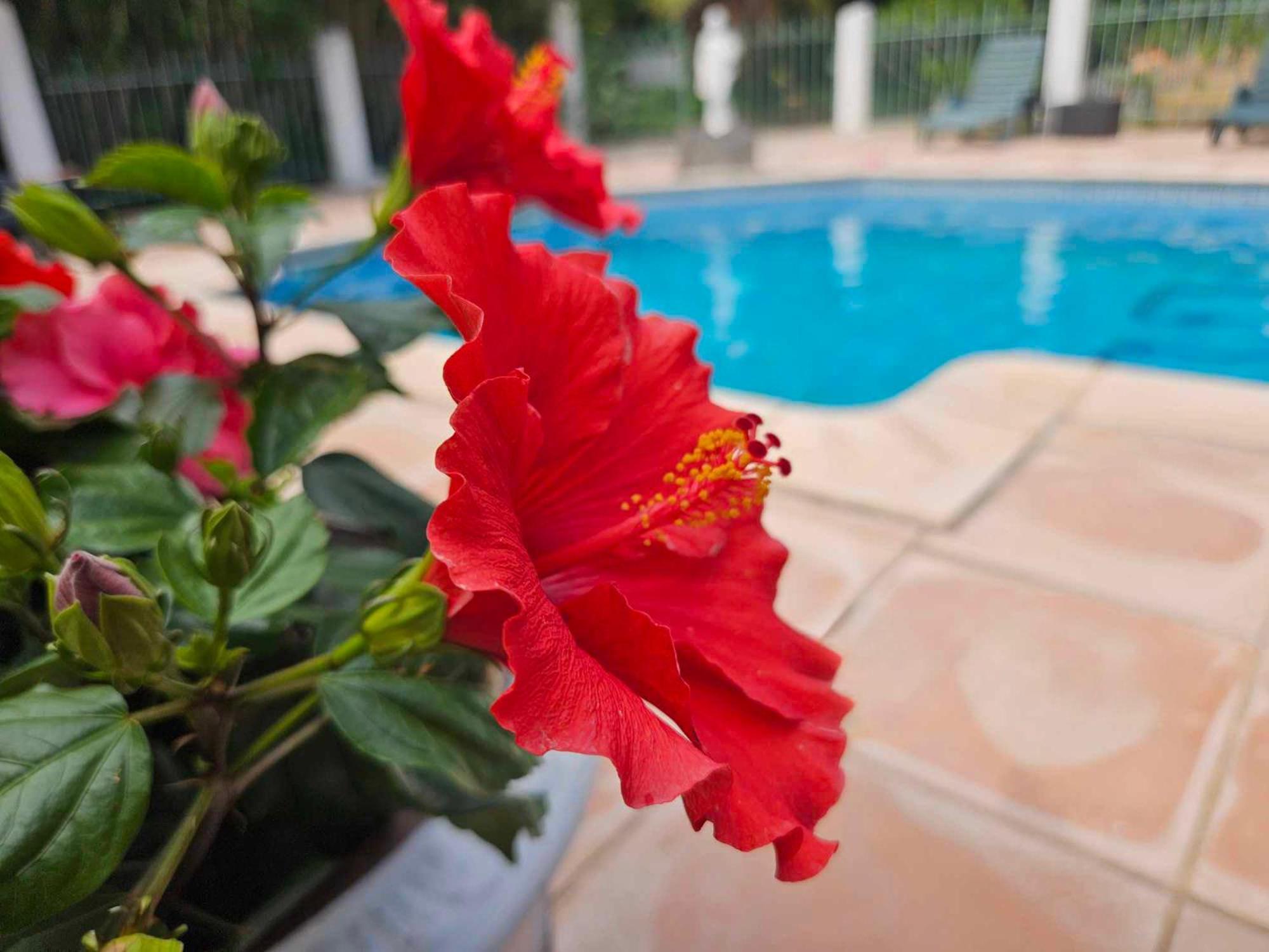 Les Jardins Du Patriarche Hotel Agde Zewnętrze zdjęcie