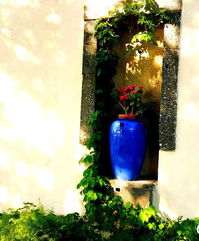 Les Jardins Du Patriarche Hotel Agde Zewnętrze zdjęcie