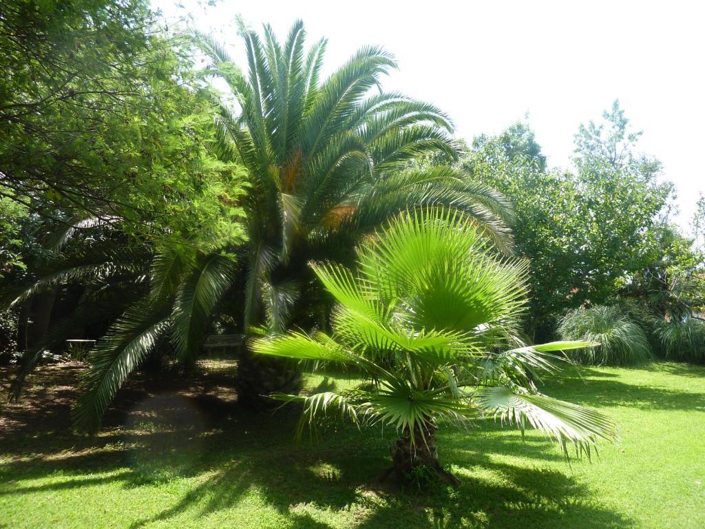 Les Jardins Du Patriarche Hotel Agde Zewnętrze zdjęcie